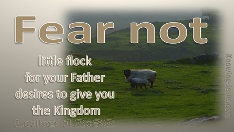 Luke 12:32 Fear Not Little Flock (beige)